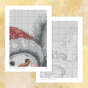 May include: Two cross-stitch patterns featuring a snowman wearing a red hat and scarf. The patterns are on white paper with a grid overlay. The text "Copyright &copy; Pixels And Stitch All rights reserved" is visible.