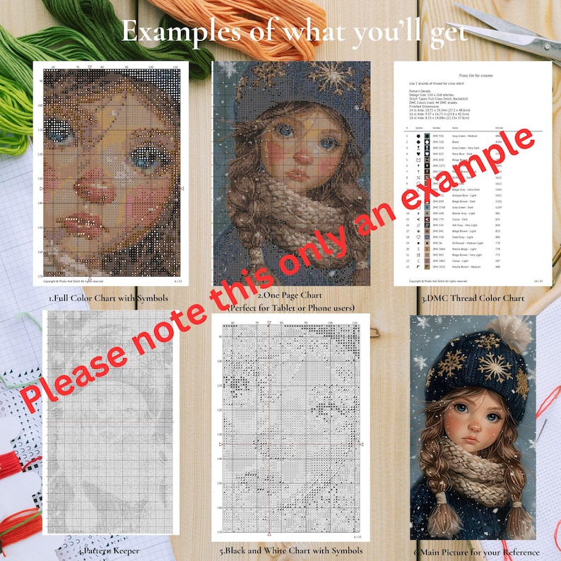 May include: An image showcasing examples of cross-stitch charts. The image includes a full-color chart, a one-page chart, a DMC thread color chart, a pattern keeper, a black and white chart, and a reference picture of a girl.