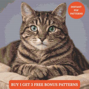 Può includere: Un modello di punto croce dettagliato di un gatto tigrato con occhi verdi. Il gatto è marrone e marrone chiaro con un motivo a strisce. L'immagine include il testo "Instant PDF Patterns" e "Buy 1 Get 3 Free Bonus Patterns".