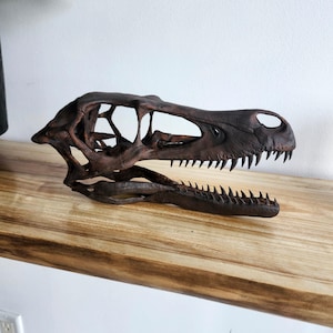 Velociraptor Skull Replica – Dinosaur Fossil Model – Jurassic Decor – Paleontology Gift