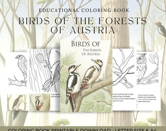 Discover the Magic of Austria is Forest Birds with Our Fun Coloring Book!