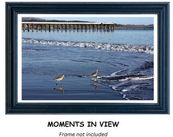 San Simeon Pier and Curlews