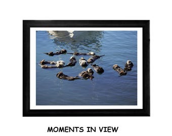 Otter Raft Near Boat