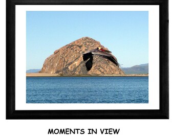 Morro Bay Rock and Pelican