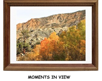 Fall in Bishop