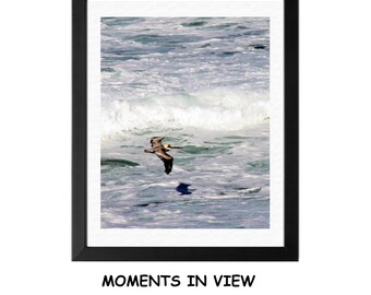 Pelican Flying Below