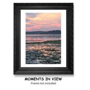 May include: A photograph of a pink and orange sunset over a body of water with green seaweed in the foreground. The water is calm and reflects the colors of the sky.