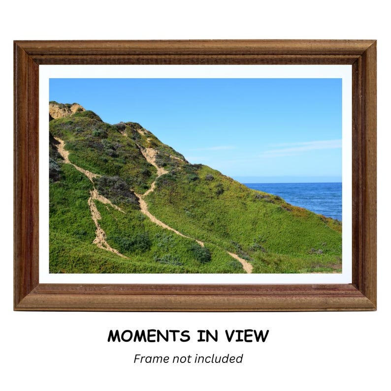 May include: A framed print featuring a coastal landscape with a green hillside, winding paths, and the ocean under a blue sky. The frame is a dark wood color. The text "MOMENTS IN VIEW" is at the bottom.