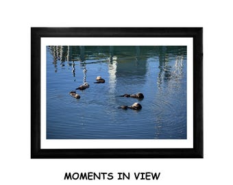 Five Floating Otters