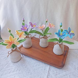 Crochet flowers Crochet potted plants housewarming gift desk decoration gift for her wedding gift Unique Customizable Gifts for Any Occasion