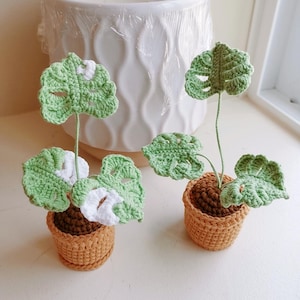 Op de afbeelding: Twee gebreide potplanten met groene bladeren. De planten staan in bruine potten met een textuur. De bladeren zijn lichtgroen en hebben een wit centrum.