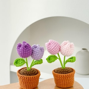 Pianta di auto Vaso di fiori all&#39;uncinetto, regalo personalizzato di rose all&#39;uncinetto, decorazione per la casa, decorazione da scrivania, rose in vaso, regali per la festa della mamma, regali per lei