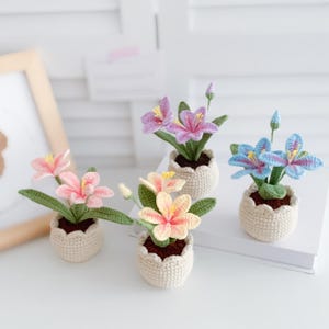 かぎ針編みの花 かぎ針編みの鉢植え 新築祝いの贈り物 デスクデコレーション 彼女への贈り物 クロコスミア ルシファーの花 母の日ギフト