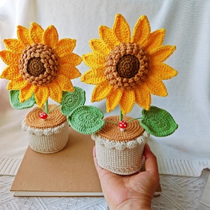 Crochet Support Gift , crochet flower in pot  desk decoration, room decoration, housewarming gift handmade flower, gift for her