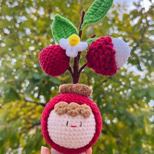 Handmade Crochet Lychee Fruit, Unique Gift, Desk Decor, Gift for Friend, Valentine's Gift, Christmas Gift, Birthday Gift
