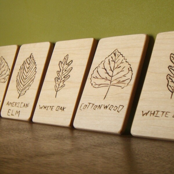 Leaf ID Memory Game Set - Free Shipping