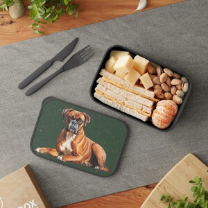 Boxer Bento Box with Band and Utensils, Eco-Friendly Portable Lunch Container for On-the-Go Meals, Perfect Gift for Food Lovers