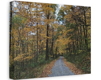Lienzo con paisaje otoñal / Fotografía de naturaleza otoñal para pared / Decoración rústica de temporada para pared