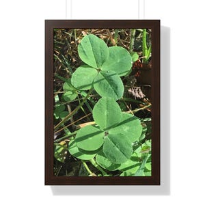 Four Leaf Clover Wall Art | Lucky Clover Photography Print | Shamrock Botanical Decor | Nature-Inspired Wall Art | Country Home Print