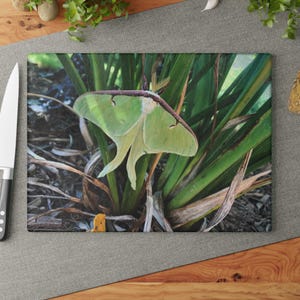 Luna Moth Glass Cutting Board: Nature-Inspired Kitchen Decor