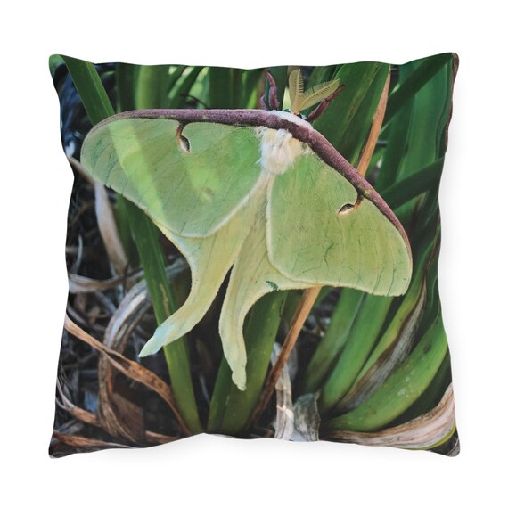 Luna Moth Outdoor Pillow: Waterproof Patio Decor UK