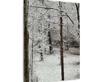 Cuadro de invierno en lienzo / Fotografía de paisaje nevado / Decoración de pared de invierno / Fotografía de naturaleza nevada