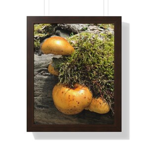 Pilz Fotografie Druck: Forest Botanical Wall Art, Cottagecore Dekor