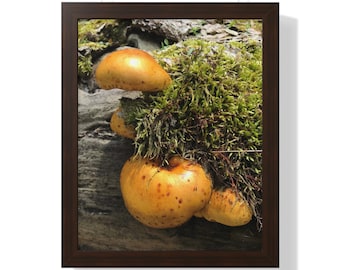 Mushroom Photography Print: Forest Botanical Wall Art, Cottagecore Decor