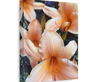 Quadro su tela con giglio pesco: decorazione floreale per la casa