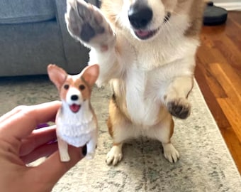 May include: A brown and white corgi dog figurine with a happy expression, held in a person's hand. A larger, real corgi dog stands behind the figurine, with its paw raised in the air.