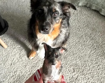 May include: A black, brown, and white dog looks at a 3D printed figurine of a dog. The figurine is being held by a person's hand.