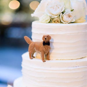 Könnte beinhalten: Eine zweistöckige weiße Hochzeitstorte mit einer hellbraunen Hunde-Figur, die eine schwarze Fliege trägt. Die Torte ist mit weißen Blumen verziert und hat ein strukturiertes Buttercreme-Frosting.
