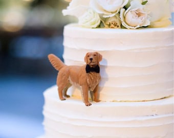 Gepersonaliseerde polymeerklei huisdierstandbeeld: aangepaste sculptuur taarttopper