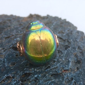 Rainbow Preciosa Czech Glass Scarab ring & 14k gold filled, 14k rose gold filled or sterling silver, *Free US shipping*