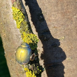 Golden Preciosa Czech Glass Scarab ring & 14k gold filled, 14k rose gold filled or sterling silver, *Free US shipping*