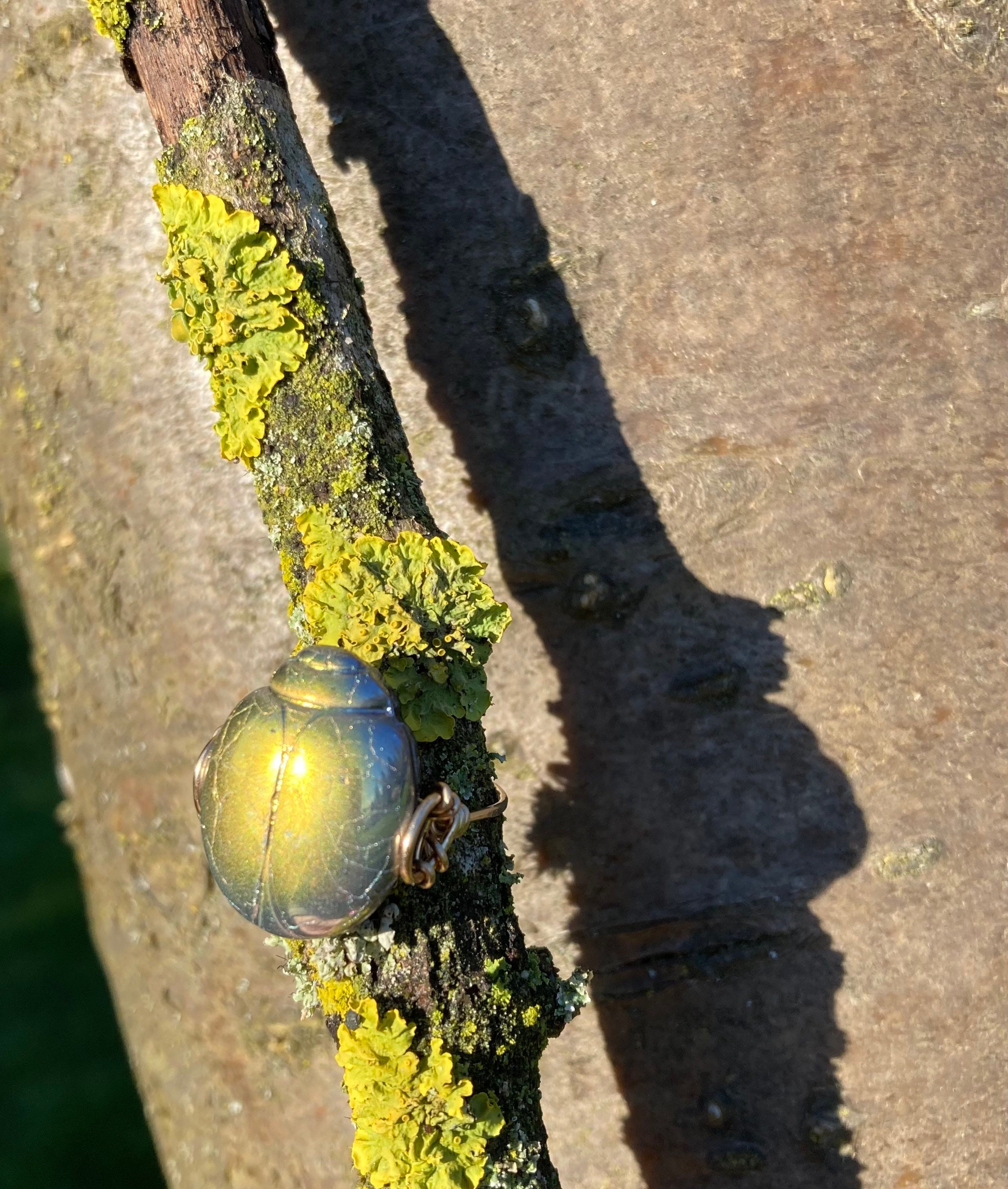 Golden Preciosa Czech Glass Scarab ring & 14k gold filled, 14k rose gold filled or sterling silver, *Free US shipping*