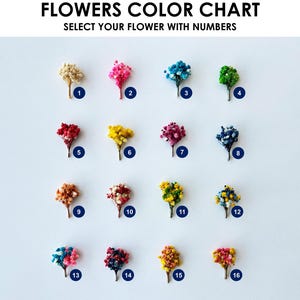 May include: A color chart of dried flowers, each with a number from 1 to 16. The flowers are in various colors, including beige, pink, blue, green, red, yellow, and purple. The text at the top reads "FLOWERS COLOR CHART" and "SELECT YOUR FLOWER WITH NUMBERS."
