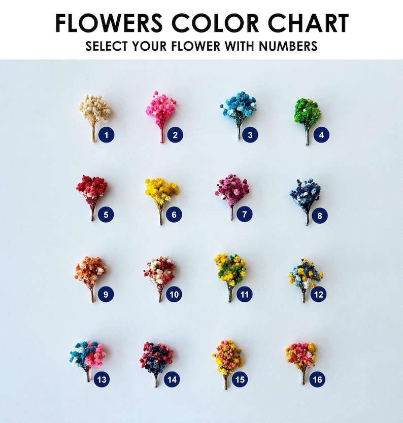 May include: A color chart of dried flowers, each with a number from 1 to 16. The flowers are in various colors, including beige, pink, blue, green, red, yellow, and purple. The text at the top reads "FLOWERS COLOR CHART" and "SELECT YOUR FLOWER WITH NUMBERS."