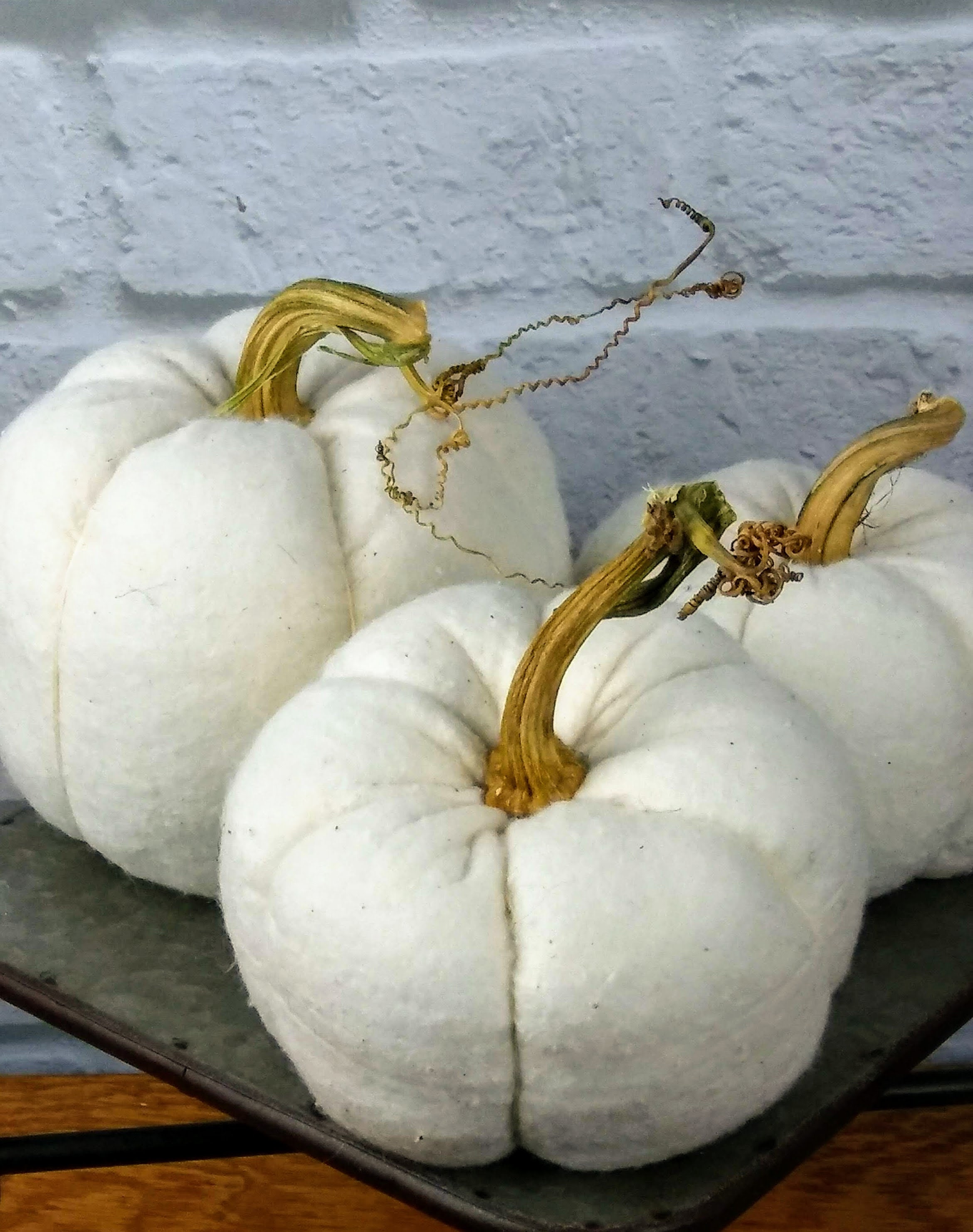 White Pumpkin Set of 3 Assorted Size Soft Fabric Natural Look - Etsy