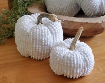 Vintage White Chenille Fabric Pumpkin Set of  2 - Real Dried Stem Farmhouse Centerpiece - 1 Medium and 1 Small 100143