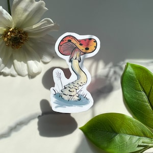 Mushroom Sticker or Magnet, Fridge Magnet, die cut magnet, mushie laptop sticker
