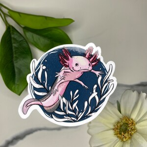Axolotl Sticker or Magnet, Amphibian sticker, cute sticker, laptop sticker, journal stickers, water bottle sticker, fridge magnet