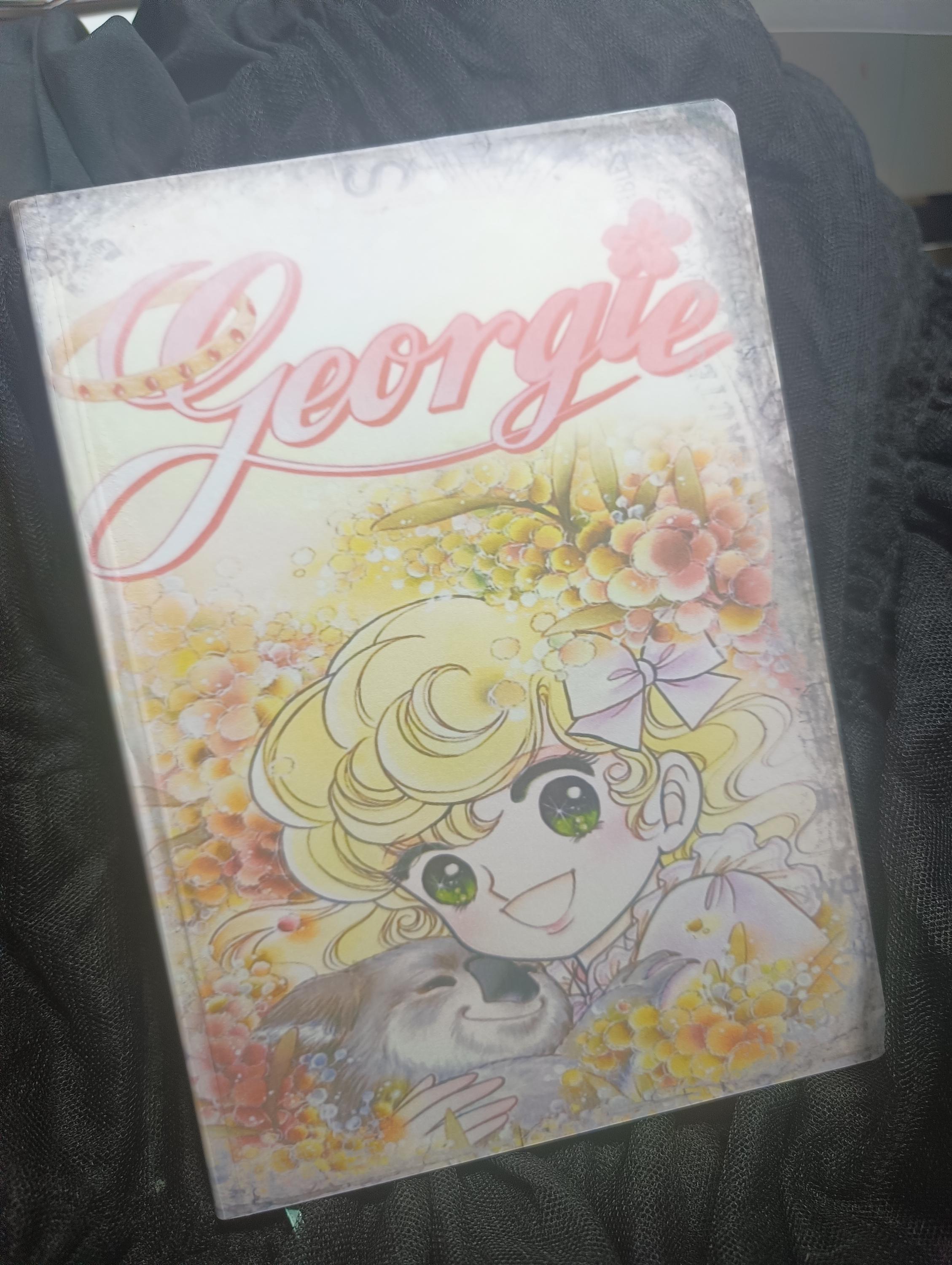 Lady Georgie Perpetual Diary, Diary, Notebook, 2025, Contacts Agenda,