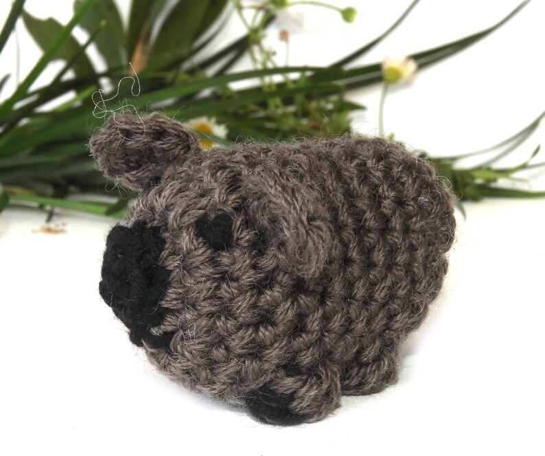 Wombat crochet pattern, Amigurumi, Australian animal pattern, pdf download image 2