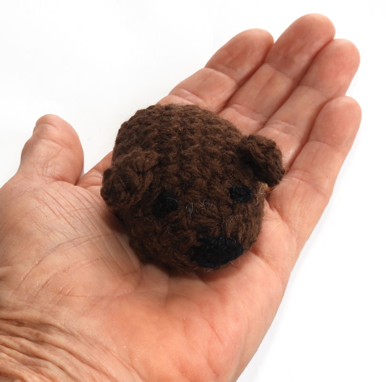 Wombat crochet pattern, Amigurumi, Australian animal pattern, pdf download image 7