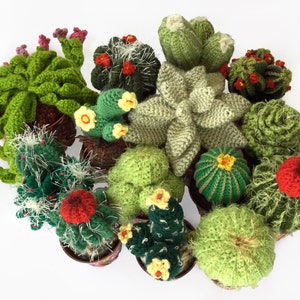 Crochet Cactus  Garden PDF Ebook, 7 patterns