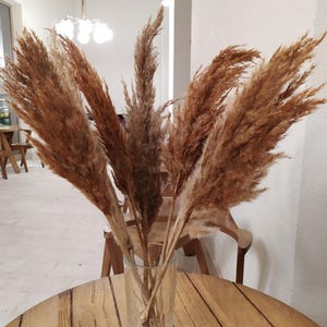 Natural Pampas Bouquet Colors of Fallen Leaves 10Pc, Wood Tone MIX 22&quot;, Brown Table Decor, Centerpiece, Wedding Arch, Earthy Arrangement