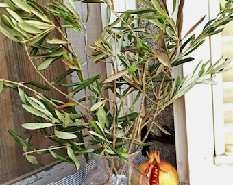 5-7 Natural Dried Olive Branches: Rustic Home Decor, Wedding Arrangement