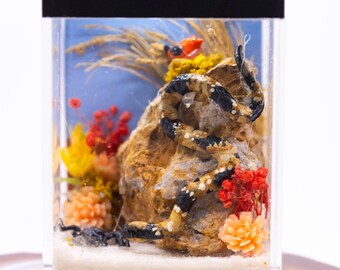 Dollhouse Miniature Reptile Terrarium Corn Snake Scorpion Tank Aquarium with Electric Mini Plug In Lighted Hood Hand Made OOAK NO STAND