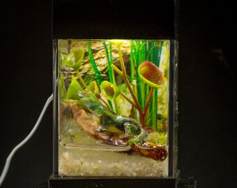 Dollhouse Miniature Reptile Terrarium Green Lizard Tank Aquarium with Electric Mini Plug In Lighted Hood Hand Made OOAK NO STAND